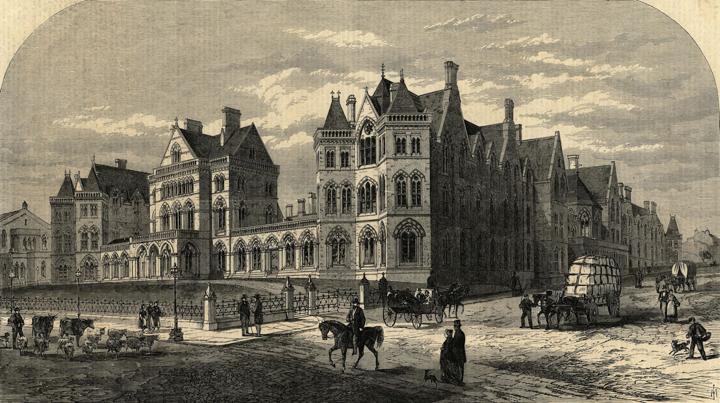 The new infirmary at Leeds. Yorkshire. Medical 1868 old antique print picture